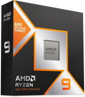 AMD Ryzen 9 9900X3D
